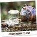 GRIRIW Pet Water Feeder Ant Water Feeders Ant Waterer Cup Water Feeding Cup for Ant Nest Clear Ants Feeder Ant Keeper Tools Ant Feeding Cup Ant Watering Cup Ant Keeping Ant Bottle Feeder - Buy Online on GoSupps.com