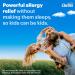 Claritin Grape Flavored Kids Allergy Relief - Non Drowsy Liquid Antihistamine for 24 Hours | Dye Alcohol & Sugar Free for Children 2 - Buy Online on GoSupps.com