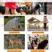 Hands-Free Dog Leash for Large Dogs - 220cm Reflective Crossbody Leash for Jogging & Running - Perfect for Medium & Small Dogs - Black - Buy Online on GoSupps.com