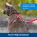 PetSafe Easy Walk Cat Harness - Size S Red | Elastic Bungee Leash for Comfortable Cat Walking | International Shipping Available - Buy Online on GoSupps.com