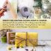 Peppermint Essential Oil - 8oz | 100% Pure & Natural | Aromatherapy & Relaxation - Buy Online on GoSupps.com