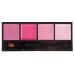 Coastal Scents Lip Quad  Juicy Pink