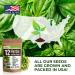12 Culinary Herb Seeds Variety - USA Grown for Indoor and Outdoor Gardens | Heirloom and Non-GMO Seeds Including Basil, Parsley, Cilantro, Mint, Chives, Thyme, Oregano, Tarragon, Dill, Rosemary, Sage & More - Buy Online on GoSupps.com