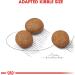 ROYAL CANIN Maxi Junior 1 kg - Buy Online on GoSupps.com
