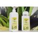 Aloe Vera Gold Propolis Cream 200ml | Soothing Moisturizer for All Skin Types - Buy Internationally - Buy Online on GoSupps.com