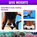 AQUATIC Coated White Dive Weights - 2.2lb (1kg) for Scuba, Freediving, Spearfishing - Buy Online on GoSupps.com