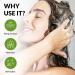 Buy 2 in 1 Shampoo and Conditioner - Clarifying Natural Formula Sulfate Free for Men & Women | 16.9 FL Oz - International Shipping Available - Buy Online on GoSupps.com