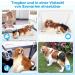 Reusable Taval Dog Diapers for Bitches - 3 Pack Washable Female Dog Pants - International Shipping Available - Buy Online on GoSupps.com