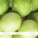 KORA Organics Kakadu Plum Vitamin C Serum | Antioxidant Facial Serum with Hyaluronic Acid | Certified Organic & Cruelty-Free | Improve Skin Tone | 1.01 fl oz - Buy Online on GoSupps.com