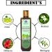 Blessfull Healing Organic Amla & BhringRaj Hair Cleanser | Shampoo 200 ML (Packing May Vary) 200 ml (Pack of 1) - Buy Online on GoSupps.com