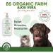 BS Organic Farm Aloe Vera Gel for Dogs & Cats | Itchy Skin Relief & Moisturizer | 100% Pure & Vegan | Soothes Dry Skin & Insect Bites | 500ml - Made in UK - Buy Online on GoSupps.com