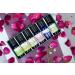 Buy SVATV Cardamom Essential Oil - 10ml Therapeutic Quality Aromatherapy Fragrance for Diffusers Yoga Massage & DIY Body Care - International Shipping Available - Buy Online on GoSupps.com