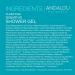 Andalou Naturals Clarifying Grapefruit Body Wash | Gentle Exfoliating Salicylic Acid Gel for Back Acne & Blemishes - 8.5 fl oz | International Shipping Available - Buy Online on GoSupps.com