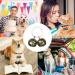 DARENYI 4 Pcs Dog Cat Collar Bells Pet Tracker Brass Bell Dog Tracker Metal Bells Small Bells for Pet Collars Anti-Lost Training Bells - Buy Online on GoSupps.com