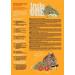 Little One Mountain Meadow Hay with Chamomile - 400g Pack - Premium Natural Pet Bedding for Rabbits & Small Animals - Buy Online on GoSupps.com