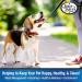 Four Paws Heavy Duty Cable - 30 Feet - Durable Silver Tie Out for Dogs | Best Quality International Shipping - Buy Online on GoSupps.com