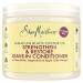 SHEA MOISTURE Jamaican Black Castor Oil Strengthen & Restore Leave-In Conditioner no silicones or sulphates for chemically processed heat-styled or natural hair 431 ml 431 ml (Pack of 1)