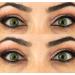 Glamlens Florence Green Contact Lenses | Natural Looking Colored Silicone Hydrogel | Strong Coverage | 1 Pair (2 Pieces) | Dia 14.00 | International Shipping Available - Buy Online on GoSupps.com
