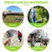 Premium Jogging Leash for Large & Medium Dogs - Retractable Dog Leash with Double Handle & Waist Belt - Ideal for Active Pet Owners (Green) - Buy Online on GoSupps.com