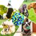 Sharlovy Indestructible Dog Toys - Durable Dog Balls & Cubes for Large and Aggressive Dogs | 6-Pack with Rotated Cotton Rope - Buy Online on GoSupps.com