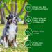 Dermaplex Skin & Coat Support Shampoo for Dogs & Puppies - Fresh Scent 16 fl oz | International Veterinary Sciences - Buy Online on GoSupps.com