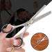 Asipro 6.5 Hair Cutting Scissors Set - Professional Salon Kit for Men Women & Pets | Includes Effilant Scissors & Case - Buy Online on GoSupps.com