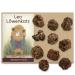 LEO L WENKATZ Matatabi fruits (more intense than Matatabi sticks loose catnip or valerian cat toys)