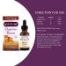 Kitty-DT Botanical: Digestive Support for Felines 1 oz - Natural Pet Digestion Aid - Buy Online on GoSupps.com