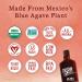 Agave In The Raw Organic Agave Nectar Sweetener 18.5oz - Blue Agave Syrup for Coffee, Baking & Cooking - Natural Low Carb Vegan Gluten-Free Option - 1.16lb Bottle - Buy Online on GoSupps.com