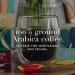 Whittard of Chelsea Coffees of the World Gift Set | 9 Boxes | Single Origin Ground Coffee | 72 Cups | 9 x 66g Bags - Buy Online on GoSupps.com