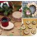 Lemonfilter Natural Wood Slices 16 Pcs 4.3-4.7 Inches - Craft Wood Kit for DIY Projects, Arts, Crafts, Wedding Decor - Unfinished Wooden Circles 11-12CM - Buy Online on GoSupps.com