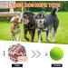 GASAPET Extra Large Dog Chew Rope Toys for Aggressive Chewers 5 Pack Durable Dog Balls for Medium Large Breeds Dental Cotton Dog Rope Toys Puppy Teething Chew Toys Interactive Dog Toys 5pcs Large - Buy Online on GoSupps.com