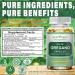 Oil of Oregano with Black Seed Oil Softgels High Absorption Organic Oregano Oil Capsules for Immune Support Digestive Health Antioxidant Concentrated Carvacrol & Thymoquinone Vegan 2 Month Supply - Buy Online on GoSupps.com