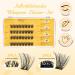 QueWel Self-Adhesive Eyelash Clusters - Natural Look Individual Extensions 32 pcs Reusable DIY Easy for Beginners (ZN01) - Buy Online on GoSupps.com
