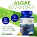 Vegan Omega 3 Supplement Algae Omega 3 with DHA EPA DPA Vegan Capsules from Algal Fish Oil Alternative Plant-Based Algae Oil Formula Non-GMO Carrageenan-Free (120 Capsules 2 Month Supply) 120 Count (Pack of 1) - Buy Online on GoSupps.com
