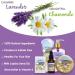 Luxury Bath Spa Gift Set - 15 Piece Lavender & Chamomile Kit with Bubble Bath Lotion Bath Salts & More - Perfect for Relaxation - Buy Online on GoSupps.com