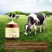 ZDQULX Grass-Fed Beef Tallow Balm with Raw Honey- Facial Moisturizer Cream Beef Tallow for Skin Natural Deeply Moisturizing for Face & Body Sensitive Dry Skin Repair 4.23 Oz - Buy Online on GoSupps.com