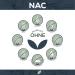 Buy SANUTRITION NAC Powder 150g - High-Quality N-Acetyl Cysteine Supplement Made in Austria - 100% Pure No Additives Ships Internationally - Buy Online on GoSupps.com