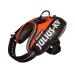 JULIUS K-9 IDC Powair Dog Harness Size: 3XS / Baby 1 Orange Orange 3XS/Baby 1