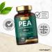 Palmitoylethanolamide PEA 450mg | Levagen Plus PEA | High Strength | 90 Vegan Capsules | by Horbaach - Buy Online on GoSupps.com