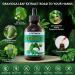 2 Fl Oz Organic Soursop Extract Drops - Graviola Leaf Extract Liquid (Soursop) - Soursop Guanabana Leaves Liquid Aour Sop Drops - 98% Absorption - 2 Fl Oz(60ML - Buy Online on GoSupps.com