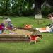 Gardigo Dog and Cat Defense - Effective Animal Deterrent | Shop Internationally - Buy Online on GoSupps.com