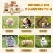 Autumn 6-in-1 Guinea Pig Wooden Toy Set | Hamster & Small Animal Activity Toys for Chinchillas Mice & Dwarf Hamsters - Buy Online on GoSupps.com
