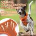 Rabbitgoo Adjustable Tactical Dog Harness for Small Dogs - Durable Anti-Train with Handles & Metal Buckles - Orange (Size S) - Buy Online on GoSupps.com