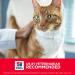 Hill's Science Diet Dry Cat Food Kitten Indoor Chicken Recipe 7 lb - Pack of 1 | White - Buy Online on GoSupps.com