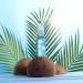Melvita Organic Coconut Oil for Dry & Damaged Hair | 100% Natural & Vegan | Bio-Certified | 50ml - Buy Online on GoSupps.com