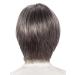 Lofty Wig Sabine - Premium Synthetic Hair Wig in Slate with Light Streaks | Realistic Look - Buy Online on GoSupps.com