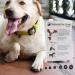 EIDEAL Pets | Nail-Grips for Dogs | Anti-slip Nail Covers for Dogs | Traction Grips for Dogs | Affordable Rubber Grips for Dogs for Hardwood Floors | Instant Relief for Dogs who Slip (M) | One pack (20 Grips) - Buy Online on GoSupps.com