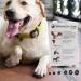 EIDEAL Pets | Nail-Grips for Dogs | Anti-slip Nail Covers for Dogs | Traction Grips for Dogs | Affordable Rubber Grips for Dogs for Hardwood Floors | Instant Relief for Dogs who Slip (XL) | One pack (20 Grips) - Buy Online on GoSupps.com