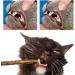 Aidiyapet Cat Catnip Sticks Cat Chew Sticks Cat Catnip toys Matatabi Silvervine Chew Sticks Cat Dental Chews for Cat Teeth Cleaning Cat Toys for Indoor Cats 30 Count (Pack of 1) - Buy Online on GoSupps.com